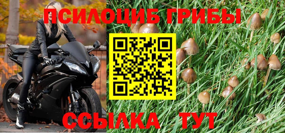 Галлюциногенные грибы Magic Shrooms Кемерово