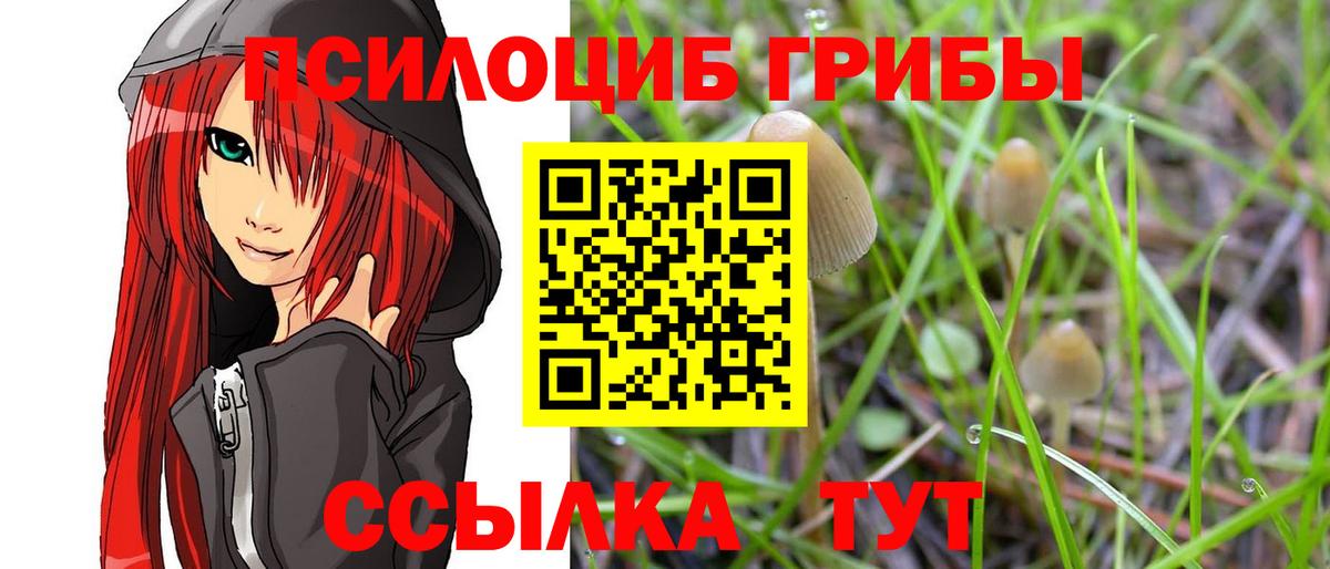 Кемерово  Псилоцибиновые грибы ЛСД  Псилоцибиновые грибы GOLDEN TEACHER  Вход с VPN 